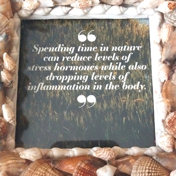 Shells Genuine Picture Frame - Picture 2 of 4